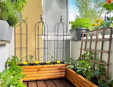 Turn Your Balcony into a Brand New Garden