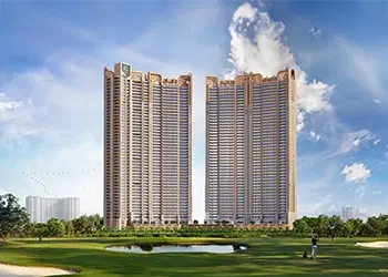 lnt-greenress banner